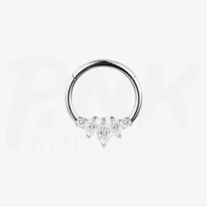 Argola Frente 3 Folhas e Zirconias