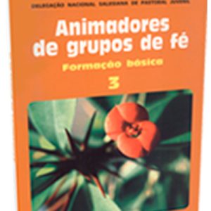 Animadores de grupos de Fé – 3